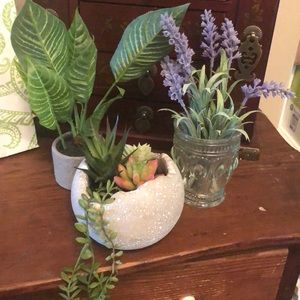 Faux Plants bundle